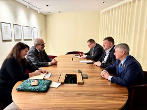 Стартував IV Парламентський Саміт Кримської платформи у Стокгольмі