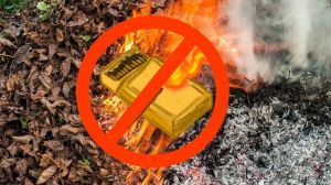 Мульчування та компостування як безпечна альтернатива спалюванню опалого листя