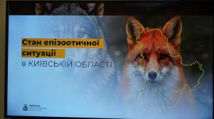 Київщина посилює заходи з протидії небезпечним хворобам тварин