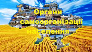Щодо удосконалення порядку організації, діяльності та припинення органу самоорганізації населення
