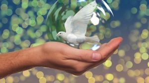 Міжнародний день нейтралітету