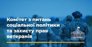 Щодо формування комплексної державної підтримки та підвищення соціальних гарантій для сімей з особами з інвалідністю