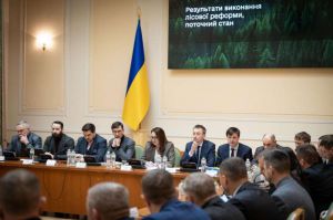 Члени Комітету з питань економічного розвитку взяли участь у координаційній зустрічі з представниками лісової, деревообробної та меблевої галузей