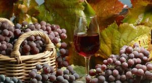 1 січня 2026 року набуде чинності новий Закон України «Про виноград, вино та продукти виноградарства»