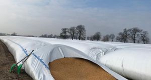 У Державному аграрному реєстрі стартував прийом заявок від фермерів на отримання модульних зерносховищ