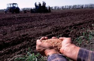 ФАО та Уряд Норвегії разом з Мінекономіки запускають програму підтримки сільських громад у прифронтових регіонах на 4 млн доларів США 