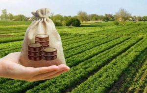 У 2025 році в Україні державні програми охопили десятки тисяч аграріїв