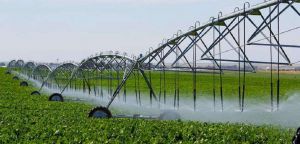 Україна та США посилюють співпрацю у сфері меліорації