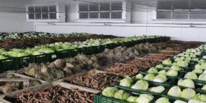 Будівництво нових овочесховищ і фруктосховищ: у Комітеті з питань аграрної та земельної політики вітають запровадження нового напряму державної підтримки аграрних виробників