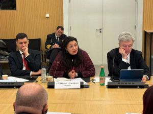 Іванна Климпуш-Цинцадзе взяла участь у роботі Міжпарламентської Ради Україна–НАТО в Брюсселі