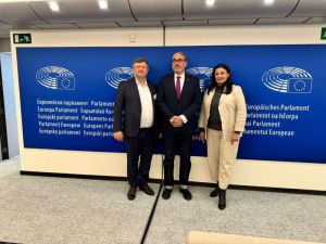 Іванна Климпуш-Цинцадзе взяла участь у спеціальному засіданні Комітету з питань оборони та безпеки Європарламенту