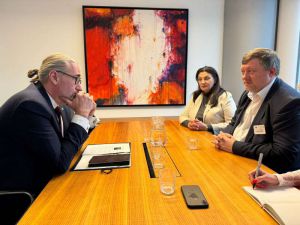 Іванна Климпуш-Цинцадзе взяла участь у спеціальному засіданні Комітету з питань оборони та безпеки Європарламенту