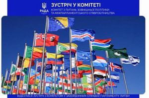 Міжпарламентська співпраця: відбулася зустріч комітетів у закордонних справах України та Литви