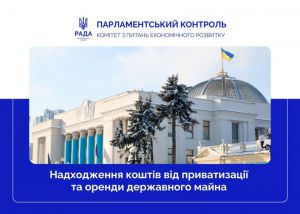 Приватизація та оренда державного майна: у Верховній Раді здійснили парламентський контроль за надходженням коштів