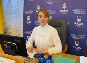 Парламентський комітет з питань державної влади визначив головні пріоритети роботи впродовж 15-ї сесії Верховної Ради України