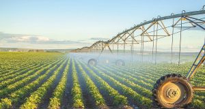 Вдосконалення системи управління об’єктами інженерної інфраструктури меліоративних систем державної власності: Верховна Рада прийняла Закон