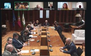 Відбулася зустріч комітетів у закордонних справах парламентів України та Португалії