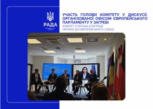 Україна може стати сильним, впливовим членом європейської спільноти і принести свій унікальний досвід в ЄС — Іванна Климпуш-Цинцадзе