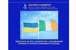 Поглиблення українсько-ірландського міжпарламентського діалогу: відбувся спільний захід комітетів у закордонних справах