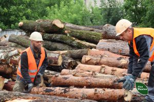 Філія «Подільський лісовий офіс» ДП «Ліси України» планує збільшити заготівлю дров для населення