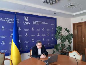 Комітети у закордонних справах парламентів України та Сербії обговорили перспективи вступу країн до ЄС та підтримку партнерів