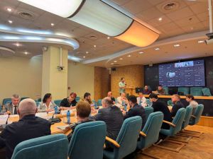 Голова Комітету з питань соціальної політики та захисту прав ветеранів представила концептуальні засади розбудови соціального житла в Україні