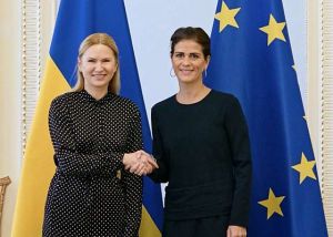 Розраховуємо на допомогу Ради Європи в уніфікації «дитячих санкцій»
