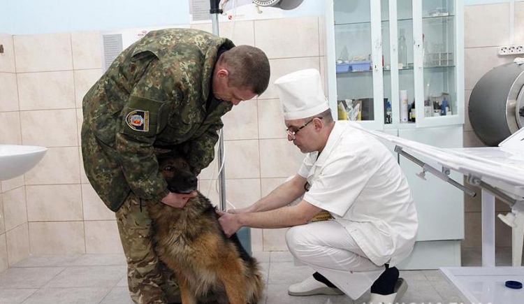 У Хмельницькій області відкрили пересувний шпиталь для собак