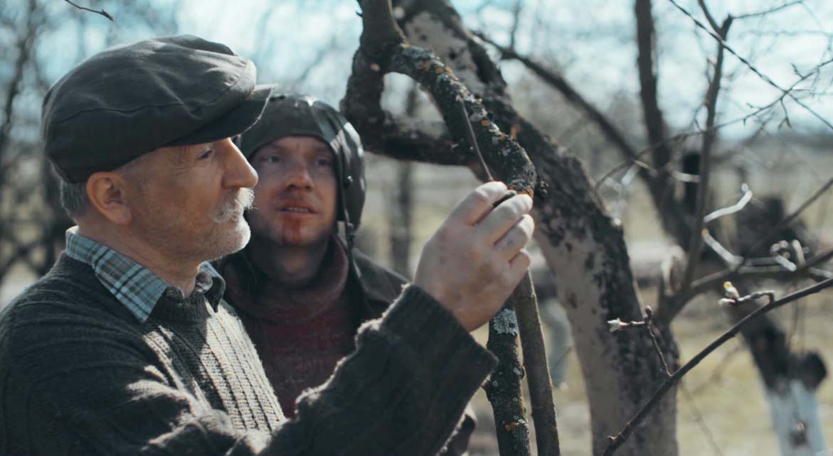 «Дивись українське!». Народний проект у професійному виконанні
