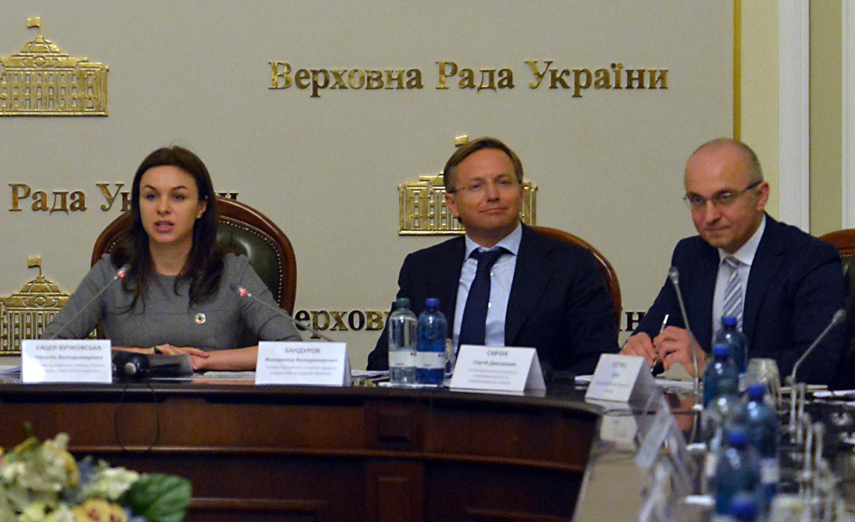 Ставка на відновлювану енергетику дасть змогу  збільшити потік інвестицій