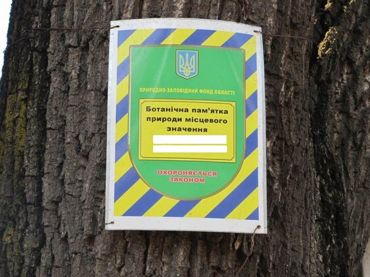 Дуб-довгожитель охоронятиметься законом