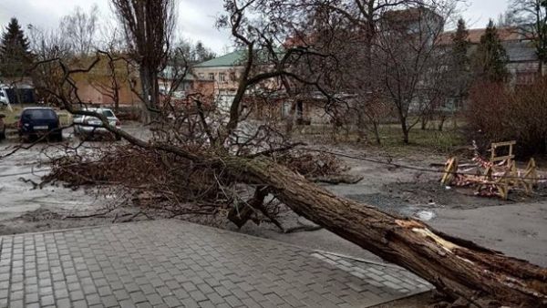 Оговтуються від негоди