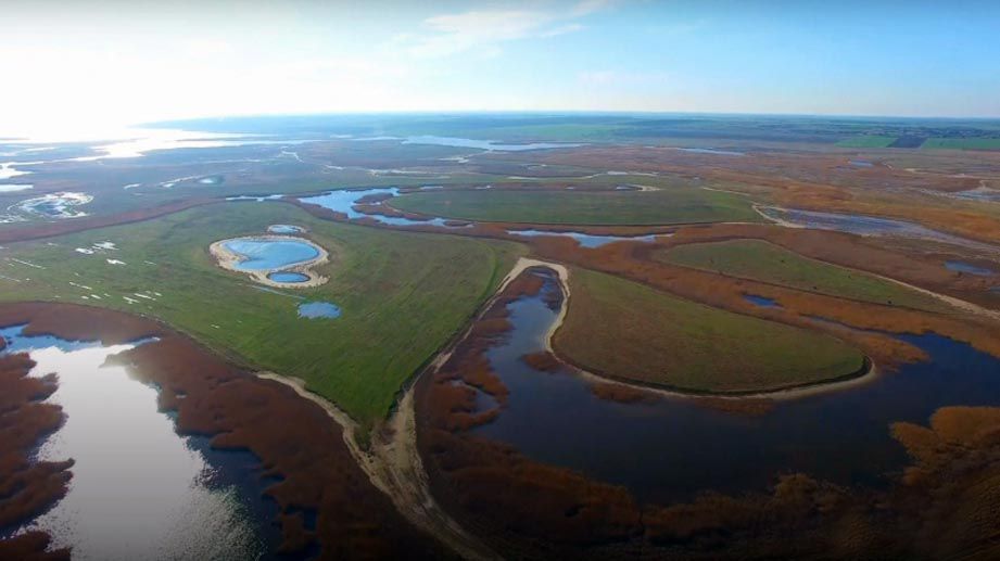 Голландські екологи борються за порятунок нашого біосферного заповідника
