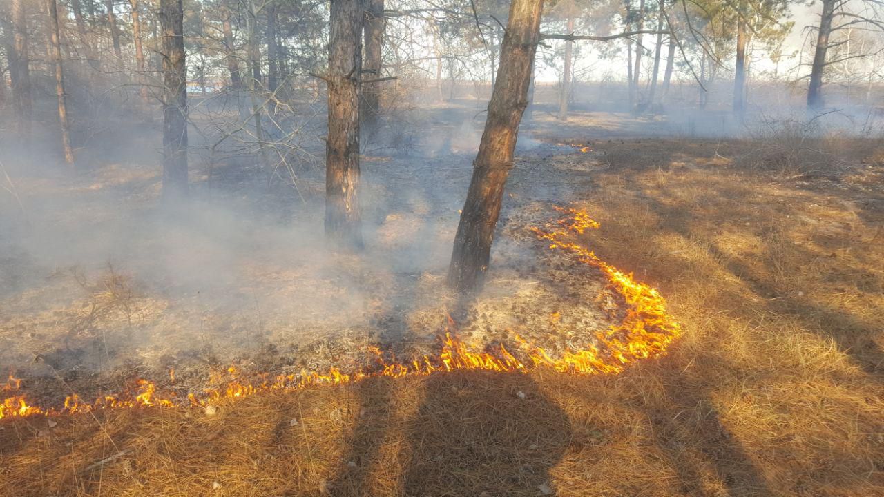 Довелося  залучати авіацію