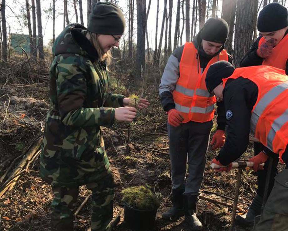 Садити ліс почали на місяць раніше, ніж зазвичай