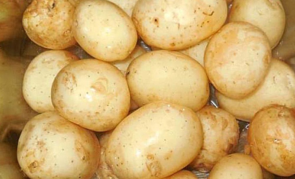 Картопля розчарувала