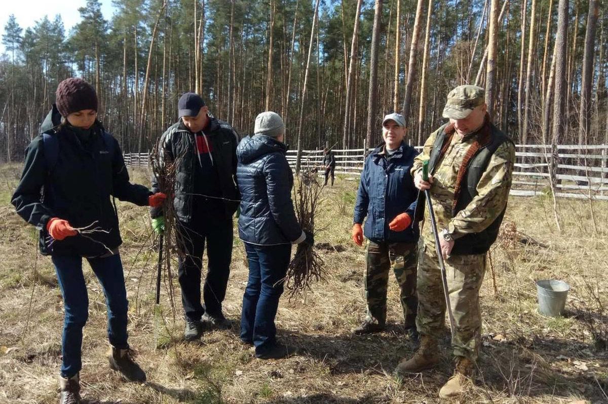 Тут піклуються про ліс