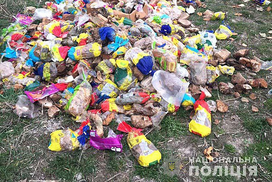 Усіяли поле... львівським хлібом