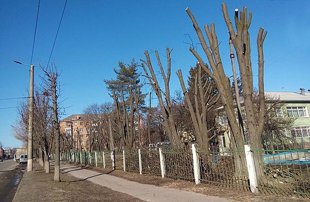 Стартувала інформаційна кампанія «Дихати по-людськи»