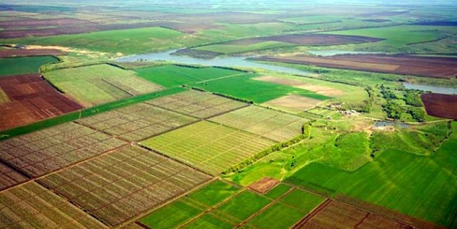 Землю засівають, не маючи права
