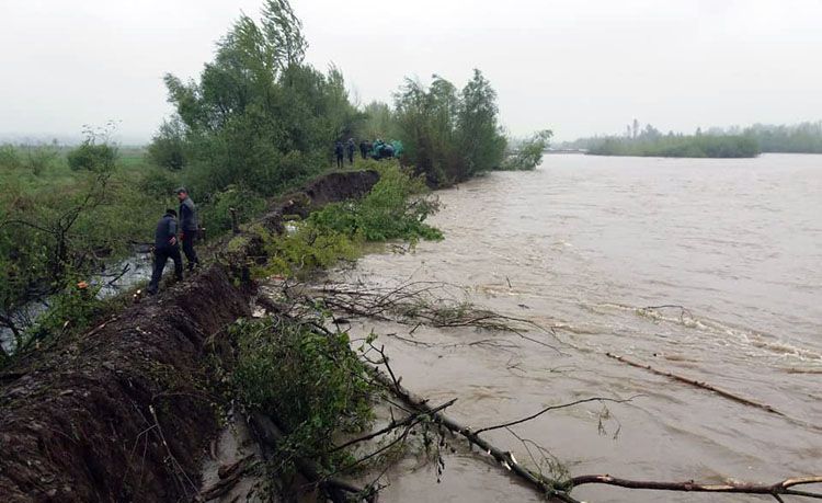 Велика вода загрожує сільгоспугіддям та садибам