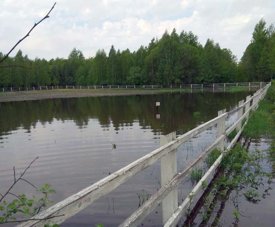 На Рівненщині зазнали збитків від негоди