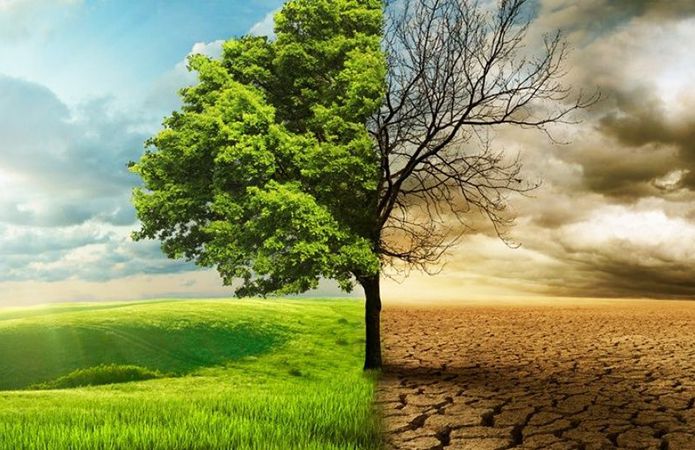 Проект стратегії зрошення та дренажу в Україні до 2030 року