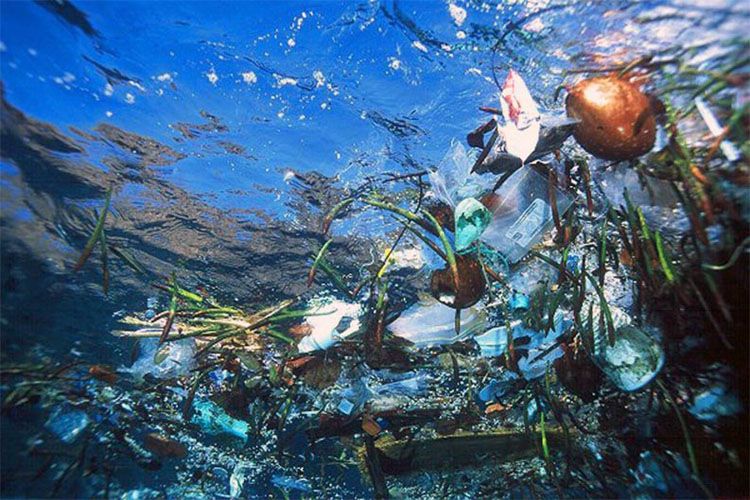 Чорне море вдвічі більше засмічене, ніж Середземне