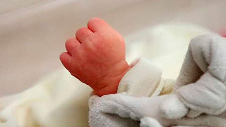 Родини обирають партнерські пологи
