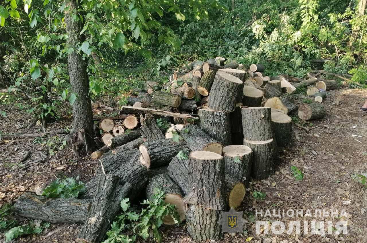На Дніпропетровщині поліція затримала групу «чорних» лісорубів