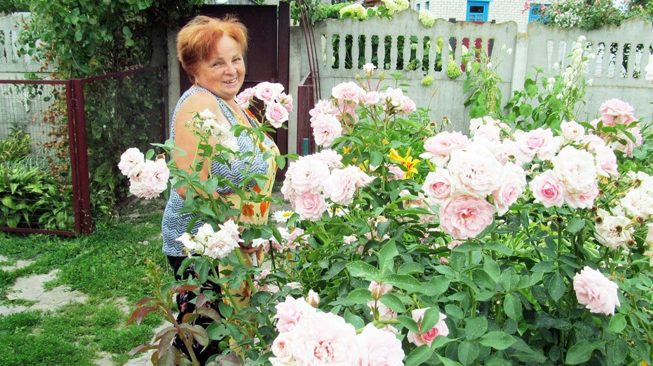 Райський куточок на своєму обійсті