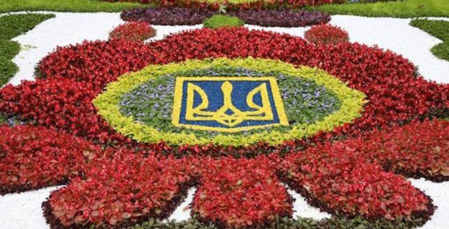 Зірковий показ  дизайнерських вишиванок на «Співочому полі»
