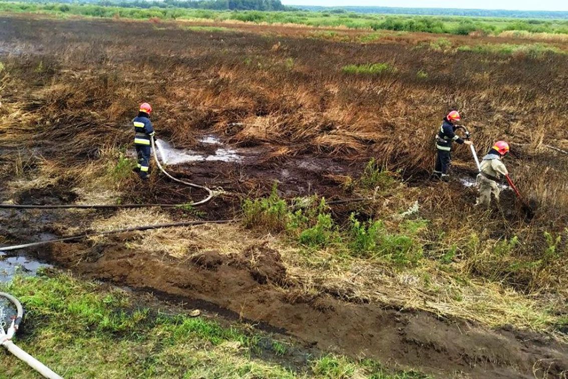 У Чернігівській області знову горять торфовища