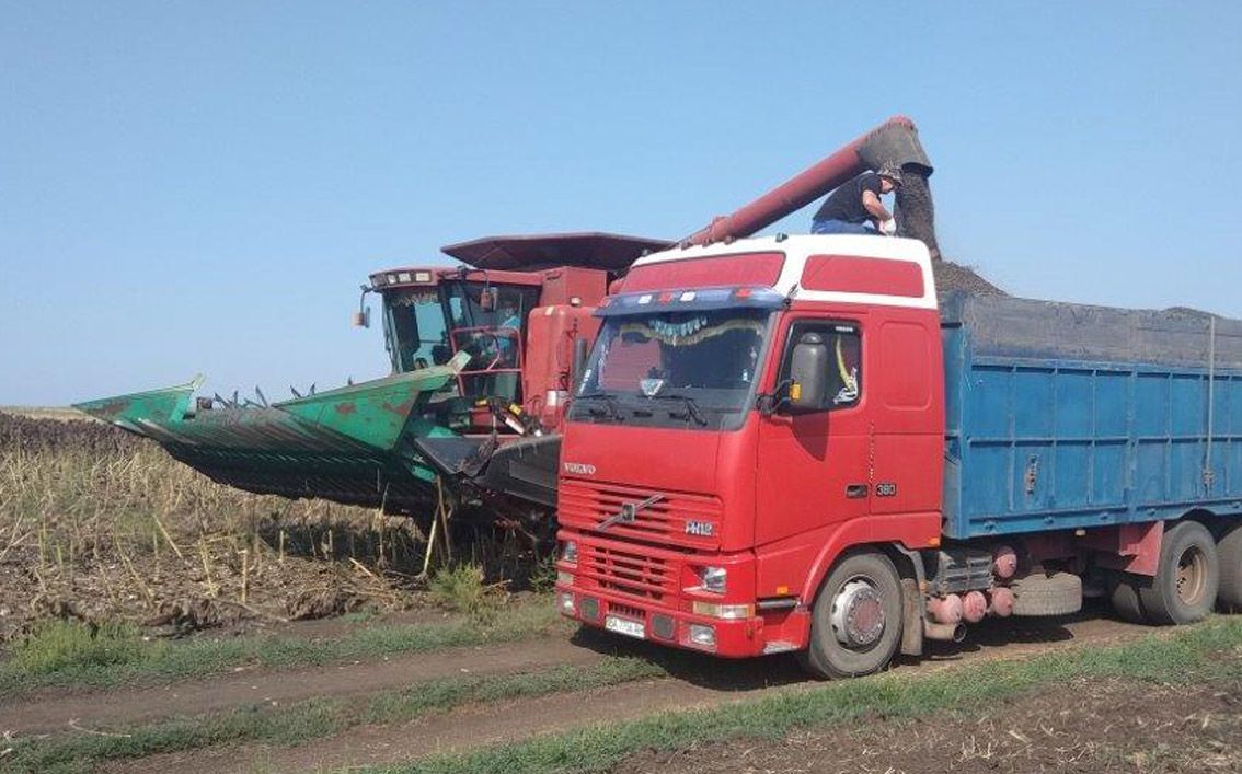 На Донеччині завершився збір ранніх зернових